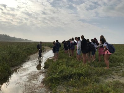 BAIE DE SOMME