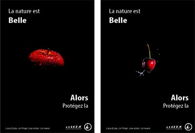 affiche eco ecole Final fruit